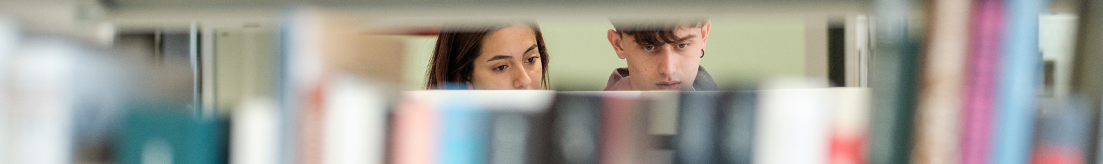 |Alt imatge central|